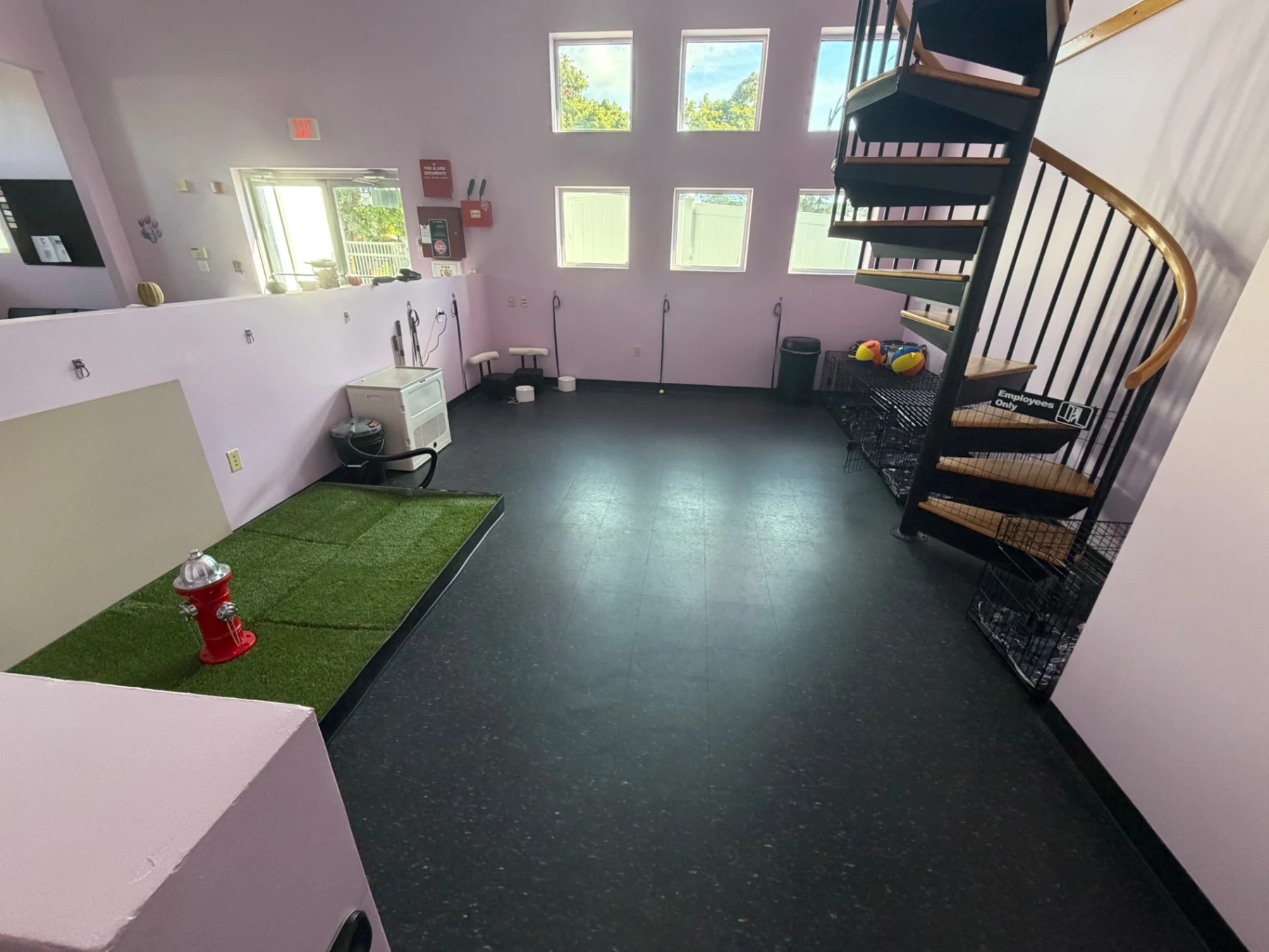 Indoor dog playroom with a spiral staircase, toys and a turf area